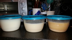 The different colors of the fat I rendered. Far left is the whitest from the ground rendering. The middle is from the first day with the large chunks and the last one is from the cracklin, much darker and porkier. 